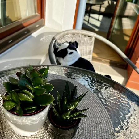 Garnizon Zen Apartament Gdańsk